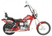 2009 Pagsta Choppa photo